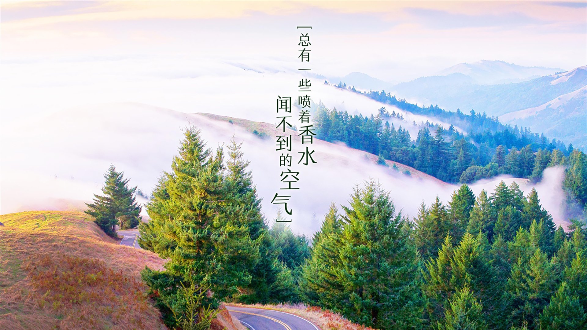 _新科技助阵：赛事全面升级，高清直播实时呈现_，新科技视频
