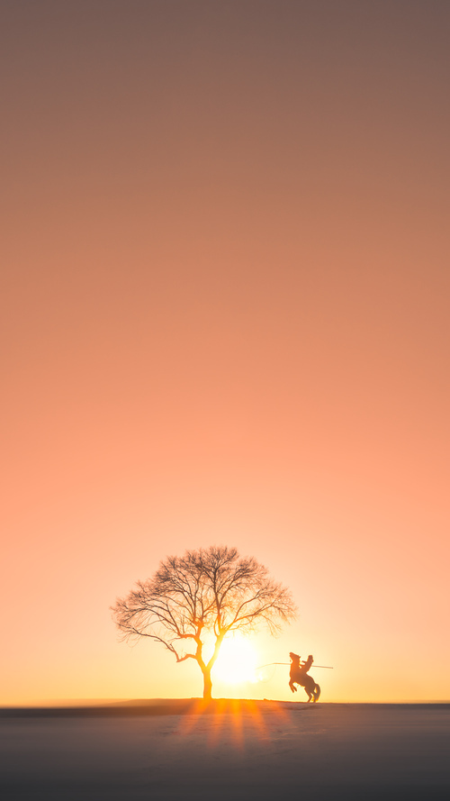 【极限速度科技】投球速度突破人类极限，令人振奋！，投球时速