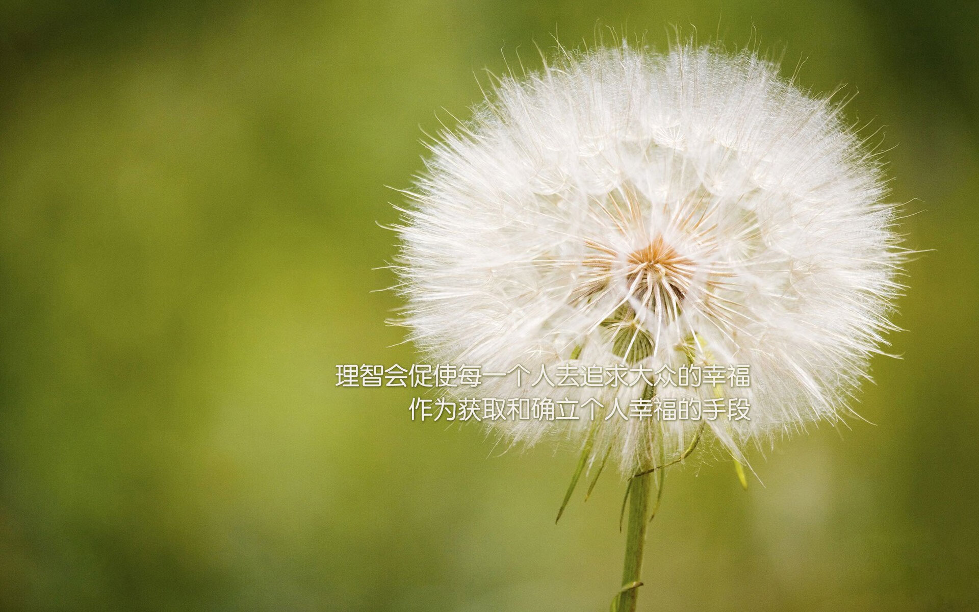 【青训突破】新技术加持下,年轻球员训练更高效,青训球队