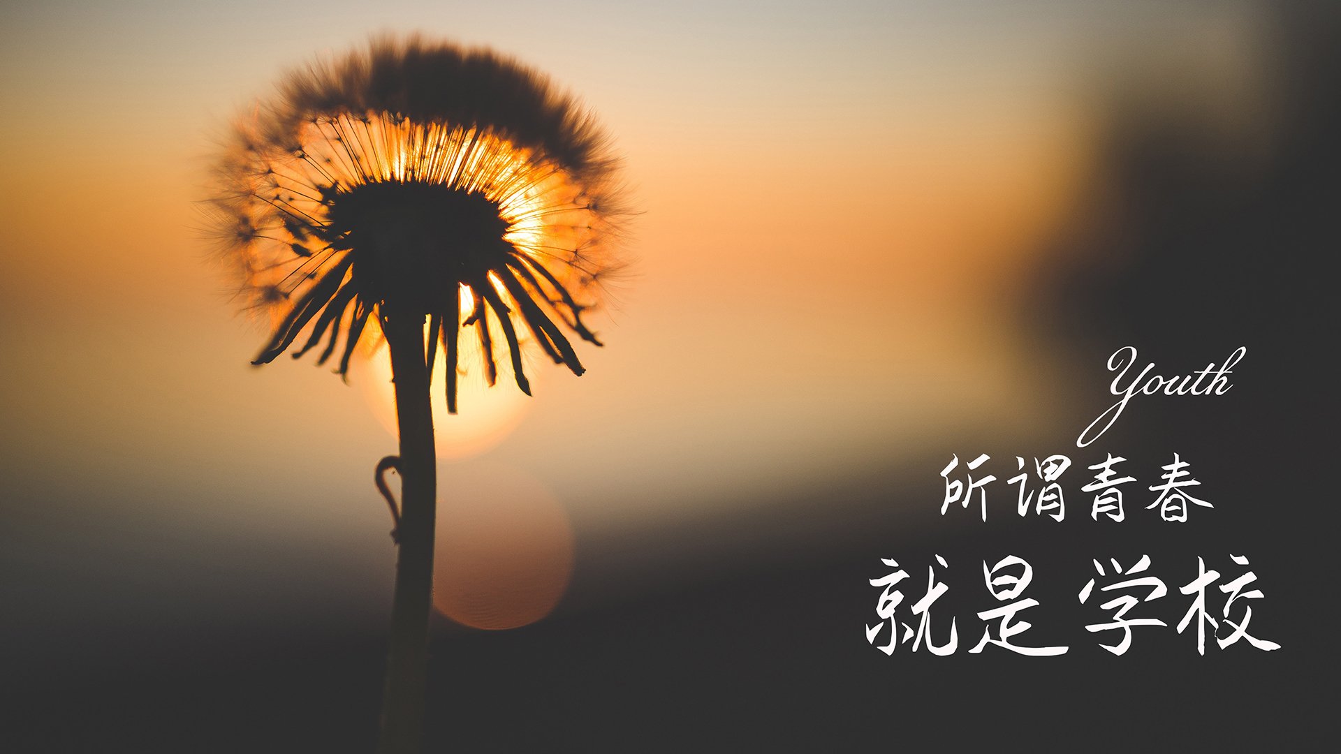 “天空之城:高空赛段的速度激情”,天空之城838米
