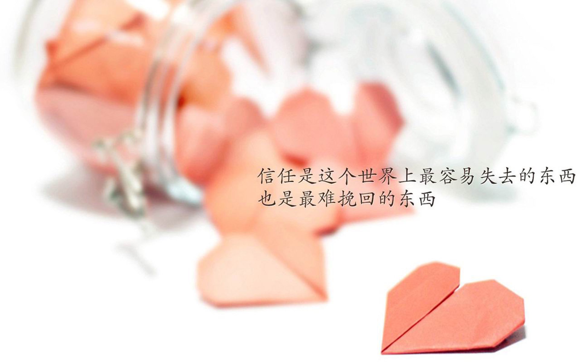 “青训合作联盟正式成立，推动职业和青训共同发展”，青训联赛