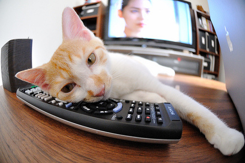 东部决赛激战正酣，热点不断升温，东部决赛谁打谁