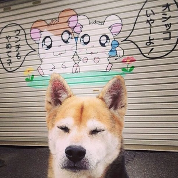 中国青少年篮球青训体系获国家专项资金支持,行业迎来新机遇,中国青少年篮球联赛有哪些