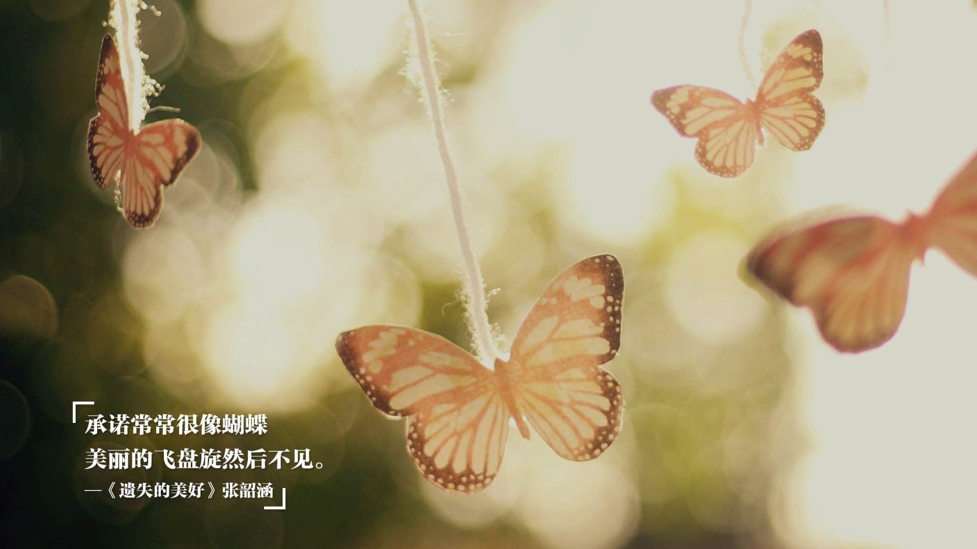 中国青少年篮球青训体系获国家专项资金支持,行业迎来新机遇,中国青少年篮球联赛有哪些