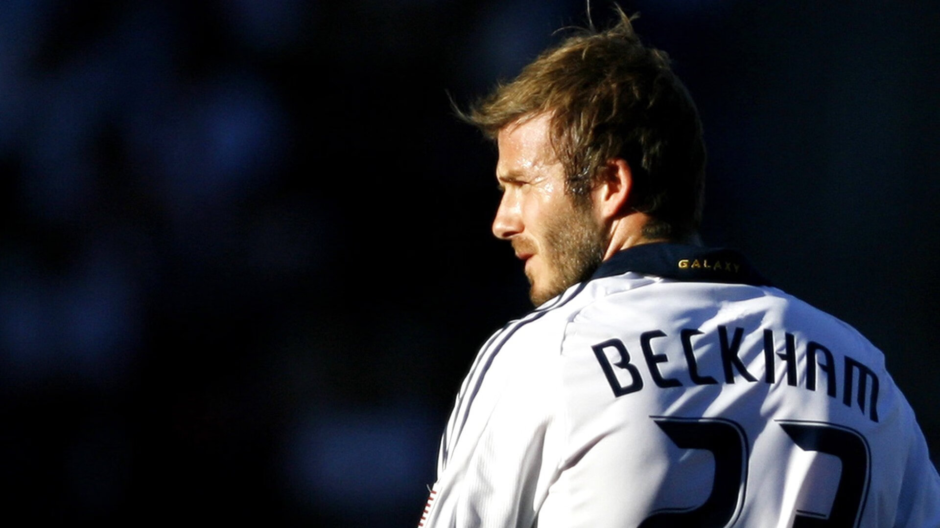 仰泳赛道波兰选手节奏精准，speedo仰泳